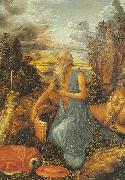 Albrecht Durer St.Jerome in the Wilderness France oil painting artist